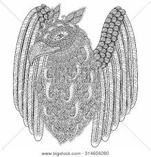 You are viewing some griffin pages printable sketch templates click on a template to sketch over it and color it in and share with your family and friends. Adult Coloring Page Vector Photo Free Trial Bigstock