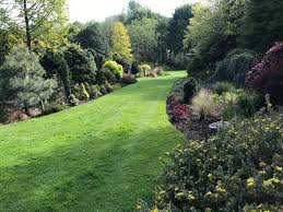 Bressingham steam and gardens travel information > photos > photo detail. Foggy Bottom At Bressingham Gardens
