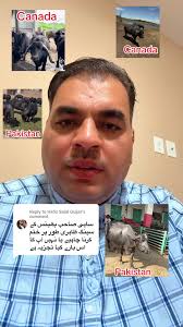 Exploring Cultural Connections Between Canada and Pakistan