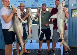 The following resources are necessary Galveston Fishing Charters The Best Fishing Experience In Texas