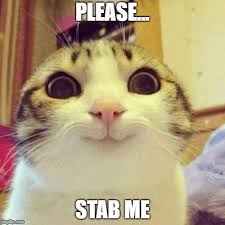 Smiling Cat Meme Imgflip