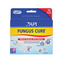 welcome to api fishcare fungus cure