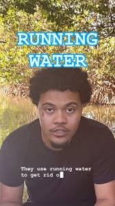 Joshua Amir Abreu (@vodouloraygronde) · Instagram 照片和视频