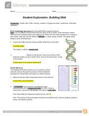 In the city tour gizmo, students explore fictional cities all over the world and learn a little math along. Gizmo Warm Up The Building Dna Gizmo Allows You To Construct A Dna Molecule And Course Hero