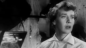 The Second Woman 1950 Film Noir, Mystery Suspense B-Movie - Robert Young,  Betsy Drake, John Sutton