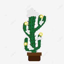 Once the flowers blossom, you can have some light at night. Christmas Cactus With Bright Lights And Falling Snow Decoration Christmas Season Png And Vector With Transparent Background For Free Download