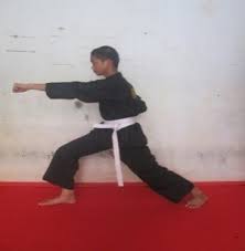 Untuk dapat melakukan guling ke depan diatas box/ roll lompat. Serangan Dalam Bela Diri Pencak Silat