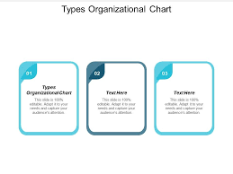Types Organizational Chart Ppt Powerpoint Presentation