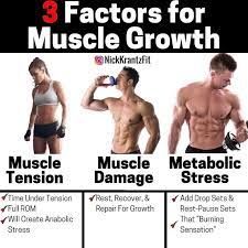 The 7 Best Combo Workouts For Muscle Growth Gymguider Com Muscle Growth Muscle Workout