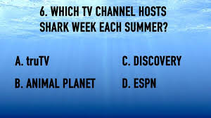 Megamouth shark whale shark basking shark baby shark 2/15 … Shark Week Trivia Games Download Youth Ministry