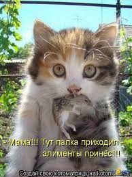 Приколы про животных с надписями » PazitiFF - прикольное инфо!