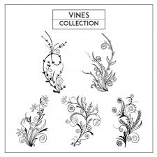 Download Vine Images Free Vectors Stock Photos Psd