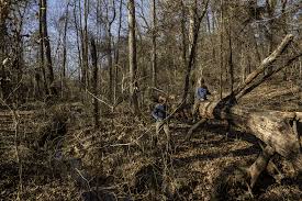 If this is not the case, simply use your posts for when i say tree. Winter Fort Building With Kids Run Wild My Child