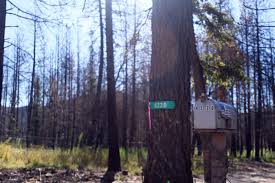 Camp Fire one year later: One Paradise fire victim still unidentified