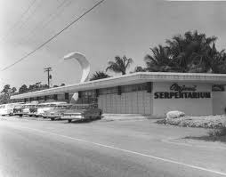 From Metropolis to Global City: Architecture and Planning in Miami ...