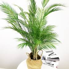 Dried, silk, foam or plastic flowers all offer a reliable alternative to fresh flowers. 15 Heads Large Tropical Palm Tree Artificial Plants Branch Fake Palm Leaves Real Touch Plastic Foliage Home Office Decor Buy Now
