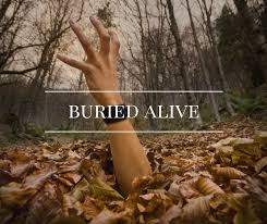 Bilderesultat for buried alive