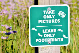 Create Your Own Stunning Website For Free With Wix Culture Travel The Great Outdoors Pictures