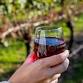 Vineyard Soirée: A Celebration of Cocktails and Cuisine for a Cause!