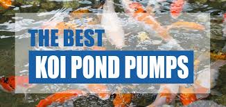 Instead of koi, think about fancy goldfish instead. The Best Koi Pond Pumps 2021 Reviews Costs Pond Informer