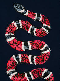 How can i get the 13 wallpapers and the psd files? 96 Gucci Snake Wallpaper On Wallpapersafari