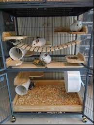 You can trust that kw will only sell relevant products that are time proven. Chinchilla Cage Set Up In 2021 Chinchilla Cage Chinchilla Pet Chinchilla Toys