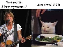Pin By Angela Bratcher On My Funnies Funny Cat Memes Funny Relatable Memes Internet Funny