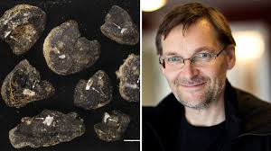 Gruvdrift i havet farligt för svampdjur