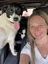 Lost and Found Pets of Oklahoma City