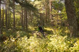 Cycling also boosts riders' balance, coordination and. Where To Go Mountain Biking In France Much Better Adventures Magazine
