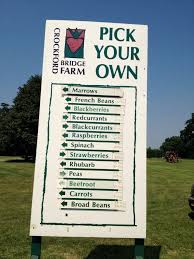 Ok A Bit Out If London Pick Your Own Crockford Bridge Farm Surrey Farm Shop Garden Centre Play Ground Gelati And Pick Your Ow Farm Shop Farm French Bean