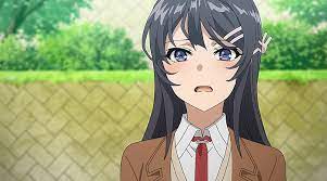 A Traves De Rascal Does Not Dream Of Bunny Girl Invisible Ante El Mundo El Palomitron
