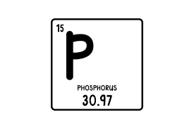 Download Periodic Table Alphabet P Svg Cut File By Creative Fabrica Crafts Creative Fabrica PSD Mockup Templates