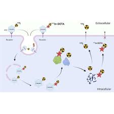 Image result for White 1995 AAV