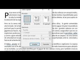 Insertar Letra Capital En Texto De Word Letras Capitales Letras Textos