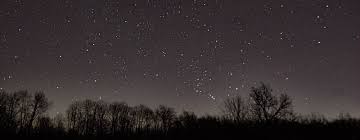 Support small businesses in pure michigan, every day; Michigan S Newest Dark Sky Park In Cass County Ready To Open After Covid 19 Delay