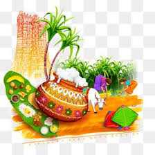 Transparent Birthday Wishes In Tamil Png Yellow Simple Vase Of Sugar Cane Sugar Clipart Yellow Simple Png Transparent Clipart Image And Psd File For Free Download Happy Pongal Wishes Happy Pongal Tamil Greetings