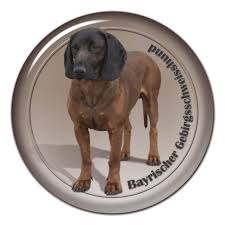 Image result for bavorský barvář