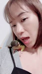 Ivy Hsieh (@ivyhsieh2020) • Threads, Say more