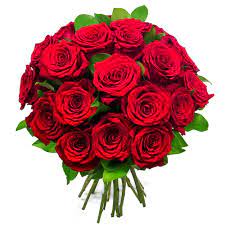 Rose rosse in elegante confezione a tono con verde decorativo di stagione. Mazzo 25 Rose Rosse Fiorista Spagnoli