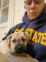 Harriet's Birthday Wishes and Blessings