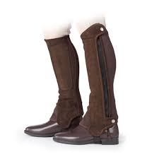 Image result for Brown 2025 Fleet