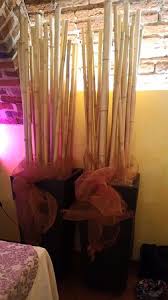 Effettuo taglio con misure cliente e trasporto tutta italia con costo al preventivo. Particolare D Arredo Vaso Con Canne Di Bambu Picture Of Ristorante Al Castello Gambolo Tripadvisor