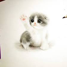 The animals are listed in alphabetical order. Pictures Of Cute Animals To Draw Easy