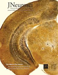 Hundreds of solutions for every possible classroom behavior problem. Age Dependent Remarkable Regenerative Potential Of The Dentate Gyrus Provided By Intrinsic Stem Cells Journal Of Neuroscience
