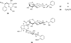 Image result for Psydrax mutimushii