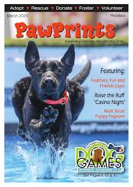 Why go to a dog breeder. Pawprints Magazine March 2020 By Pawprints Magazine Issuu