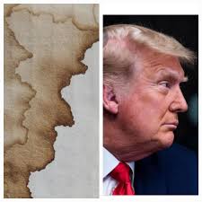 Spurious film footage can often be suggested to be something it may not be.  This guy that resembles the later Joey Ramone can be seen in the concert  films of both the