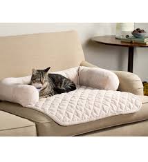 pin on all about cats 2