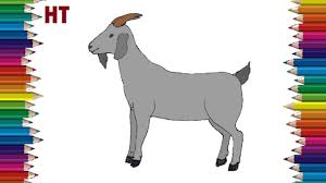 You will get 1 goat coloring page in jpg (2550px x 3300px) for your kids coloring project. How To Draw A Goat Step By Step Easy Animals To Draw